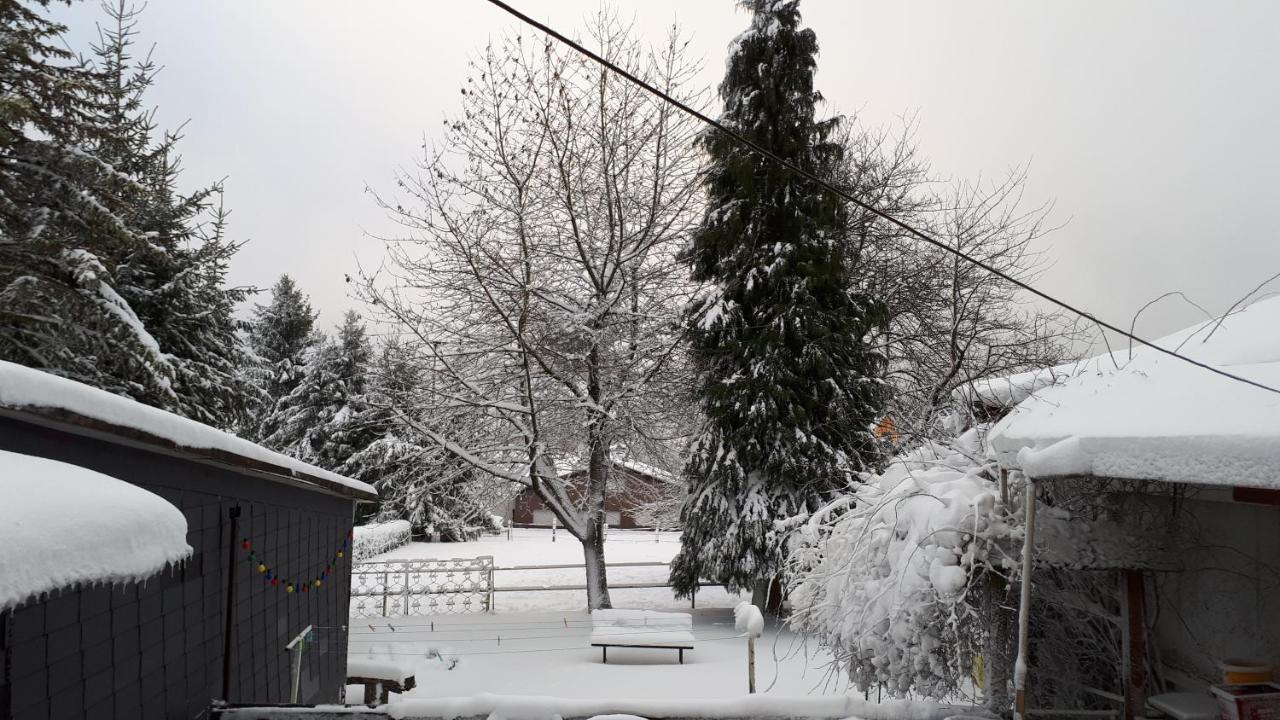 Ferienwohnungen! Kleine Bungalows Mit Terrasse! Stockhausen-Illfurth Bagian luar foto